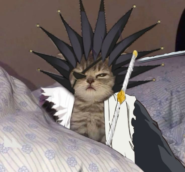 Axelitohmn